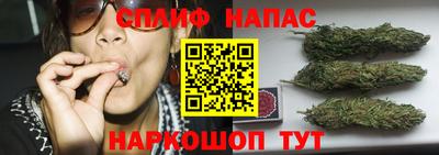 ALPHA PVP Славгород